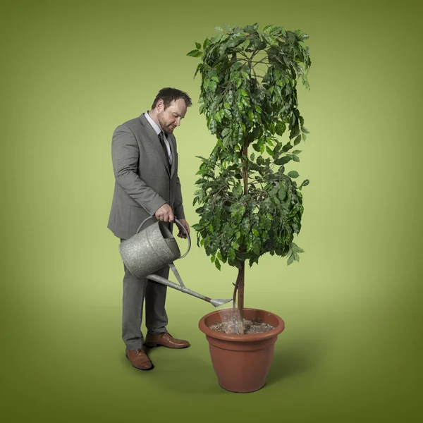 Businessman watering tree with watering can indoor