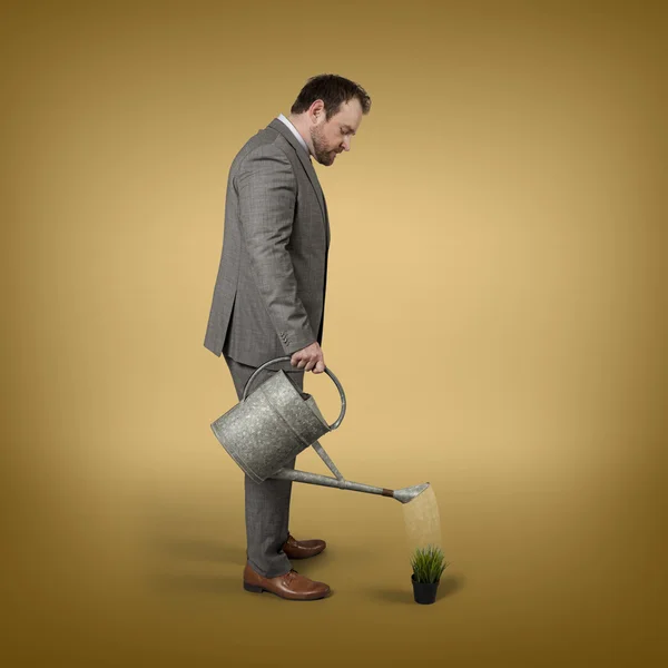 Businessman watering plant with watering can indoor