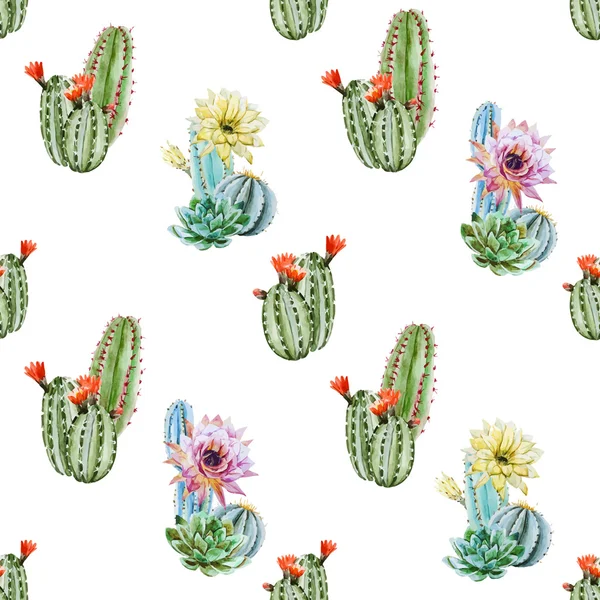 Watercolor cactus pattern