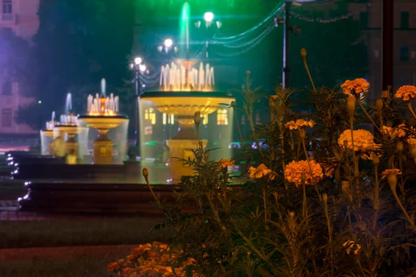 Flowers on a background of Illuminated fountains on the main squ