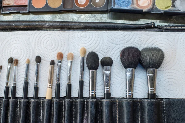 Close-up Various Makeup brushes in leather case
