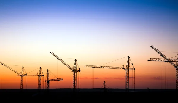 Cranes on a construction site against a sunset sky