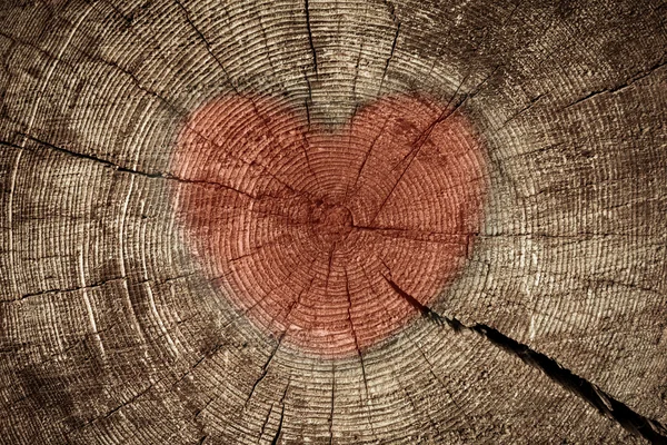 Tree heart concept