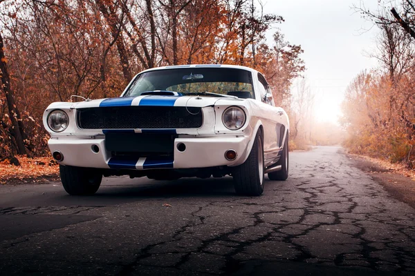 Old car Ford Mustang Shelby GT350 on the road at daytime