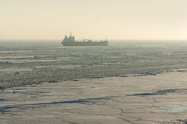 Sea ice stranded ship