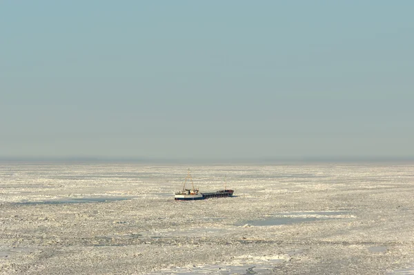 Sea ice stranded ship