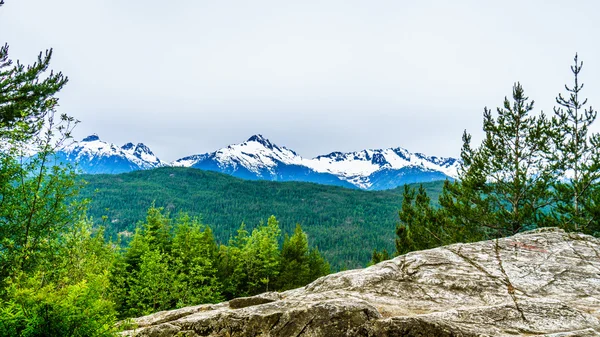 Serratus Mountain Viewed from Highway 99 near the town of Squamish British Columbia