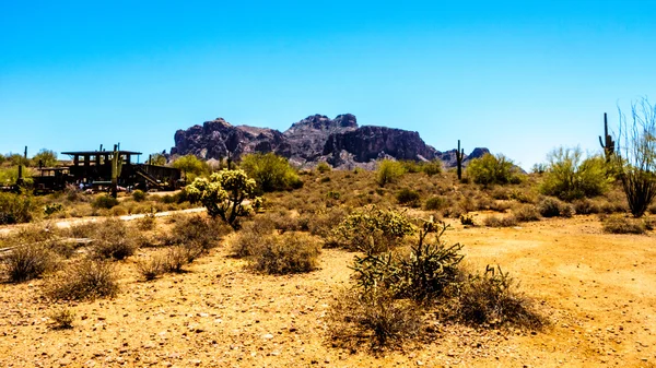 Lost Dutchman State Park with Superstition Mountain in the background