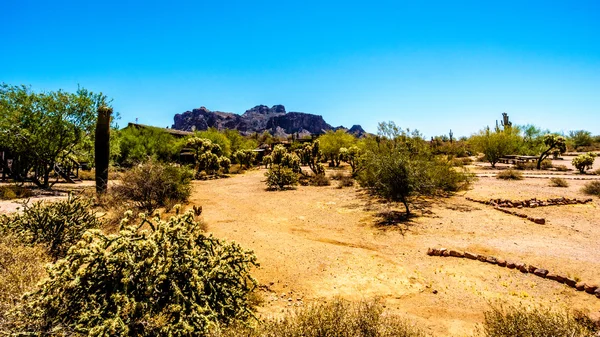 Lost Dutchman State Park with Superstition Mountain in the background