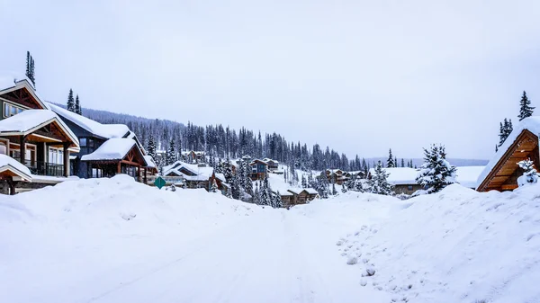 Snow Covered Trees, Streets and Houses in the Village of Sun Peaks