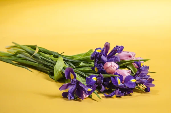 Tender bouquet of spring iris and tulips flowers