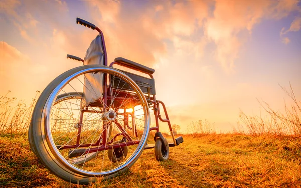 Empty wheelchair on the meadow at sunset