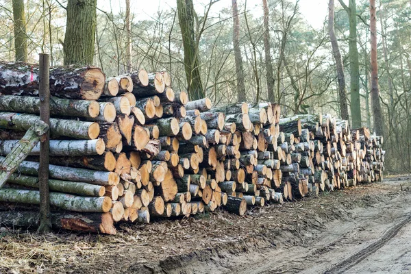 Wood logs background