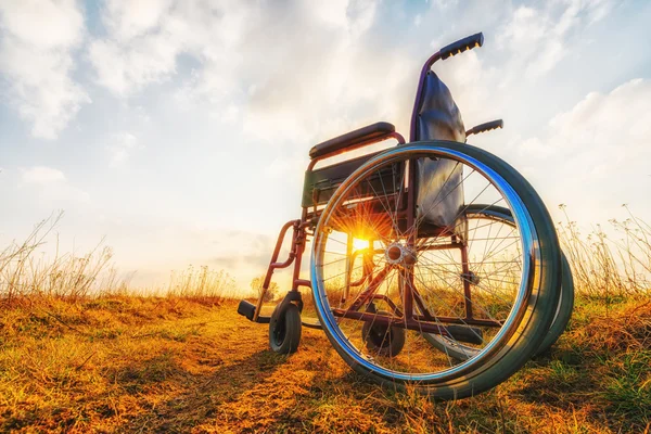 Empty wheelchair on the meadow