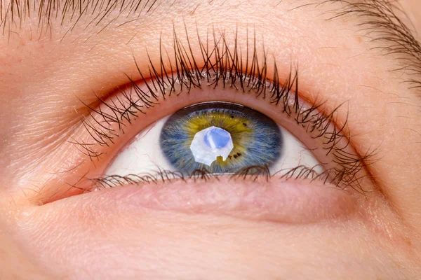 Closeup shot of woman eye - looking up. Human blue eye with reflection
