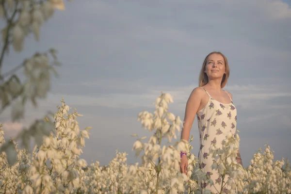 Princess. Young beautiful pretty woman posing in long evening luxury dress against bushes with white flowers