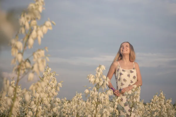 Princess. Young beautiful pretty woman posing in long evening luxury dress against bushes with white flowers