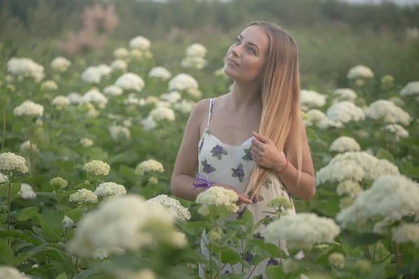 Young beautiful woman in the warm rays of the evening sun walking on a green field with white flowers.