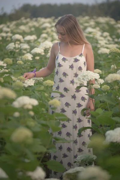 Young beautiful woman in the warm rays of the evening sun walking on a green field with white flowers.