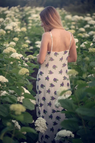 Young beautiful woman in the warm rays of the evening sun walking on a green field with white flowers.