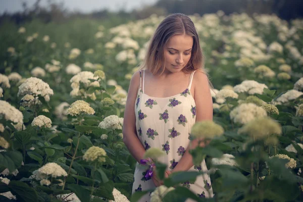 Young beautiful woman in the warm rays of the evening sun walkin