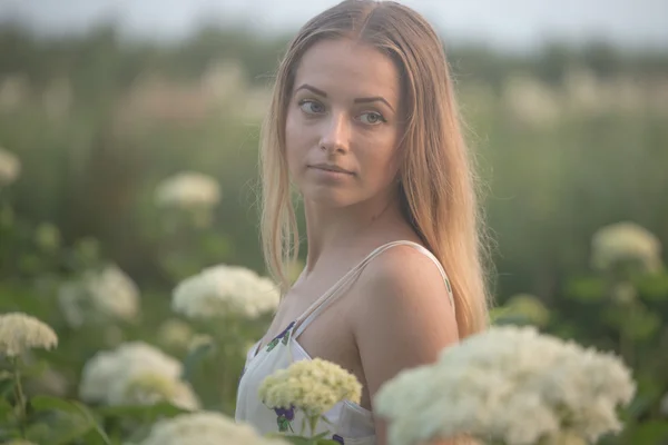 Young beautiful woman in the warm rays of the evening sun walking on a green field with white flowers.