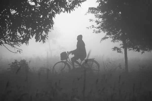 Silhouette of a biker at misty nature