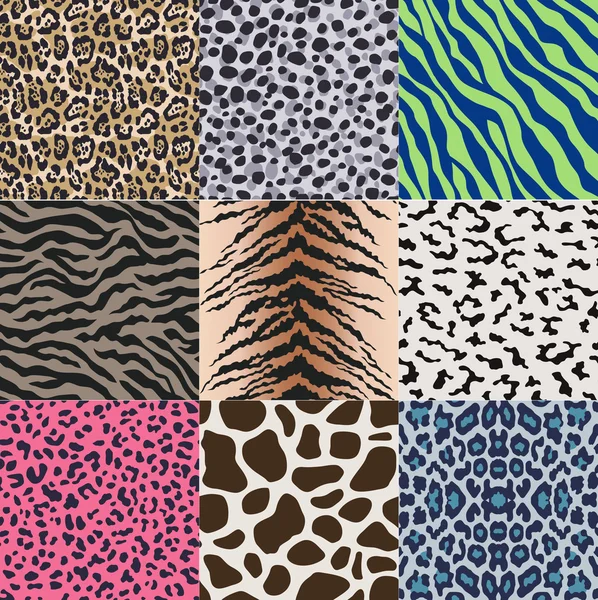 Animal print pattern