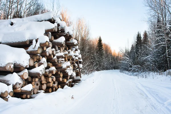 The pile of logs in winter