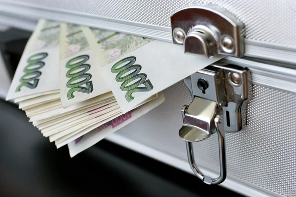 Czech money - banknotes in a case