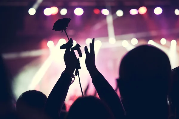 Cheering crowd at a big rock concert. Hands up silhouette with a rose.