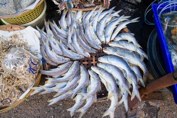 Sea fish in fresh market at ferry of Angsila, Choburi, Thailand.