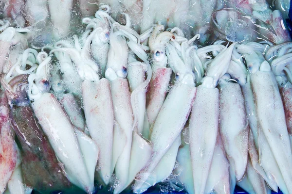 Squid in fresh market at ferry of Angsila, Choburi, Thailand.Sea