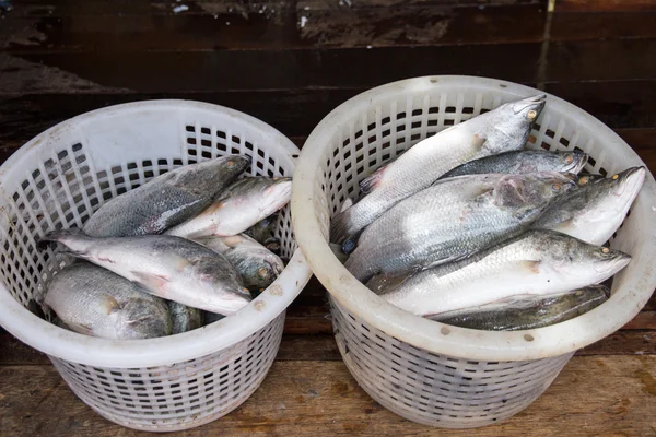 Sea fish in fresh market at ferry of Angsila, Choburi, Thailand.