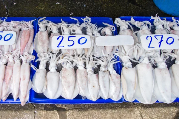 Squid in fresh market at ferry of Angsila, Choburi, Thailand.Sea