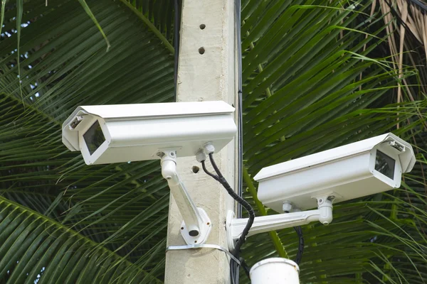 CCTV Security camera in park