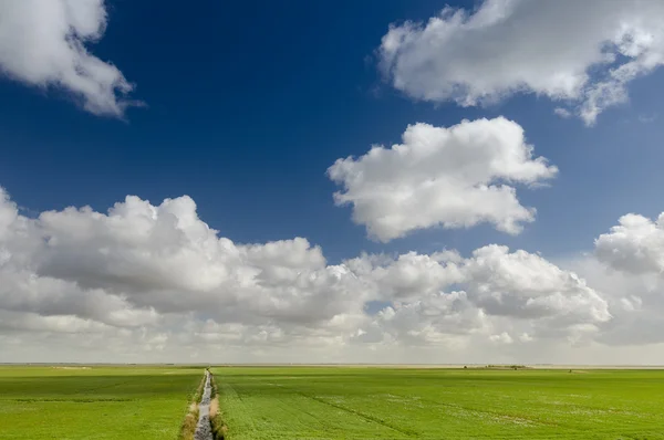 Beautiful polder landscape in Holland with typical Dutch clouds