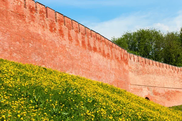 Old red brick wall of the Kremlin on the hill with green grass and yellow dandelions