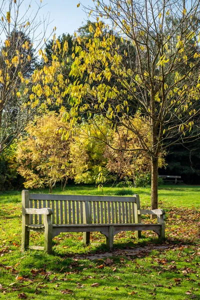 Beautiful Bench in the Autumn Park at the beginning of the Autum