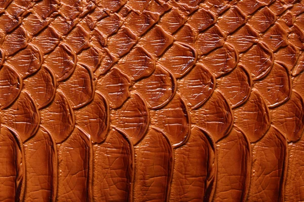 Brown texture leather skin