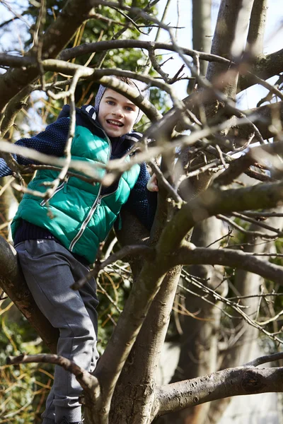 Young boy climbing tree in park