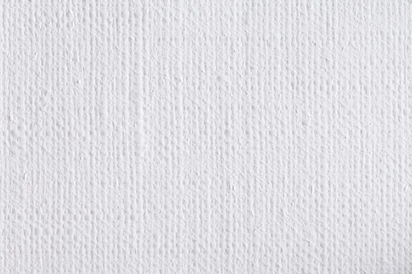 White canvas texture or background. High res photo.