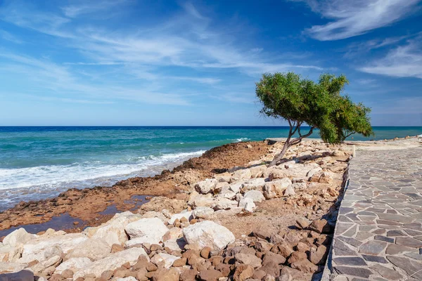 Beautiful panoramic sea view on Ayia Napa near of Cavo Greco, Cyprus island, Mediterranean Sea. Amazing blue green sea and sunny day.