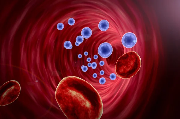 Erythrocyte, blood cell