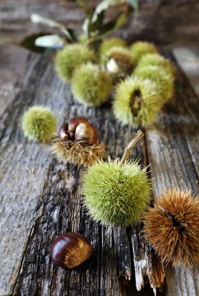 Sweet chestnuts