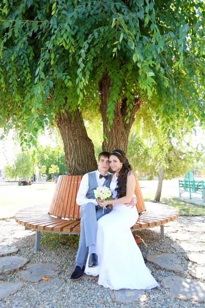 Young bride and groom walk in nature on the wedding day