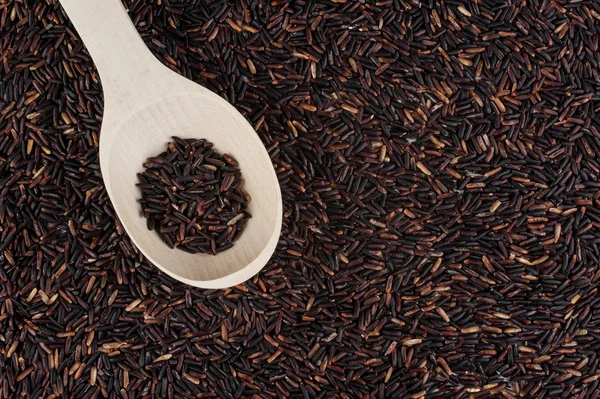 Wild rice in wooden spoon on black rice texture