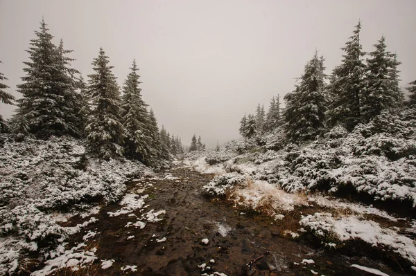Dark river in the winter mountain forest.