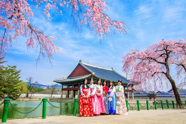 Tourists taking photos of the beautiful scenery around Gyeongbokgung Palace with cherry blossom in spring, korea.