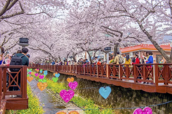 JINHAE,KOREA - APRIL 4 :Jinhae Gunhangje Festival is the largest cherry blossom festival in Korea.